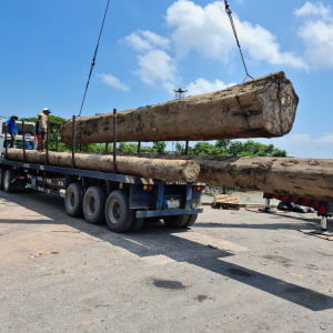 Cho thuê xe cẩu giá rẻ Vũng Tàu